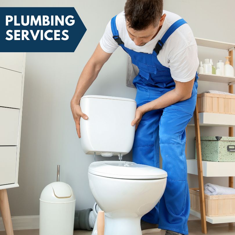 Plumbing Company in Palmetto, FL