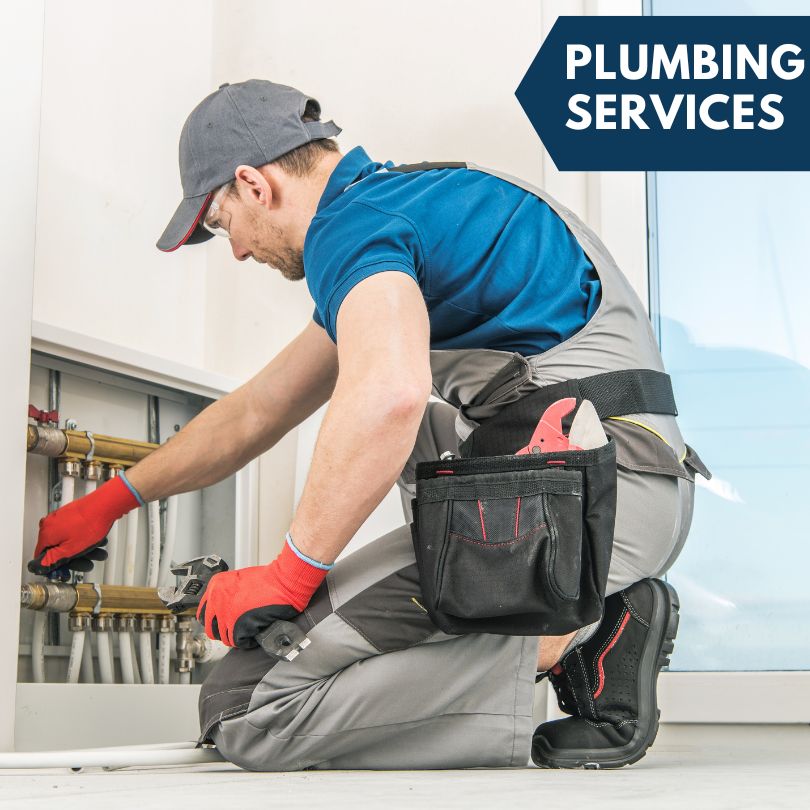 Palmetto Plumbing Company
